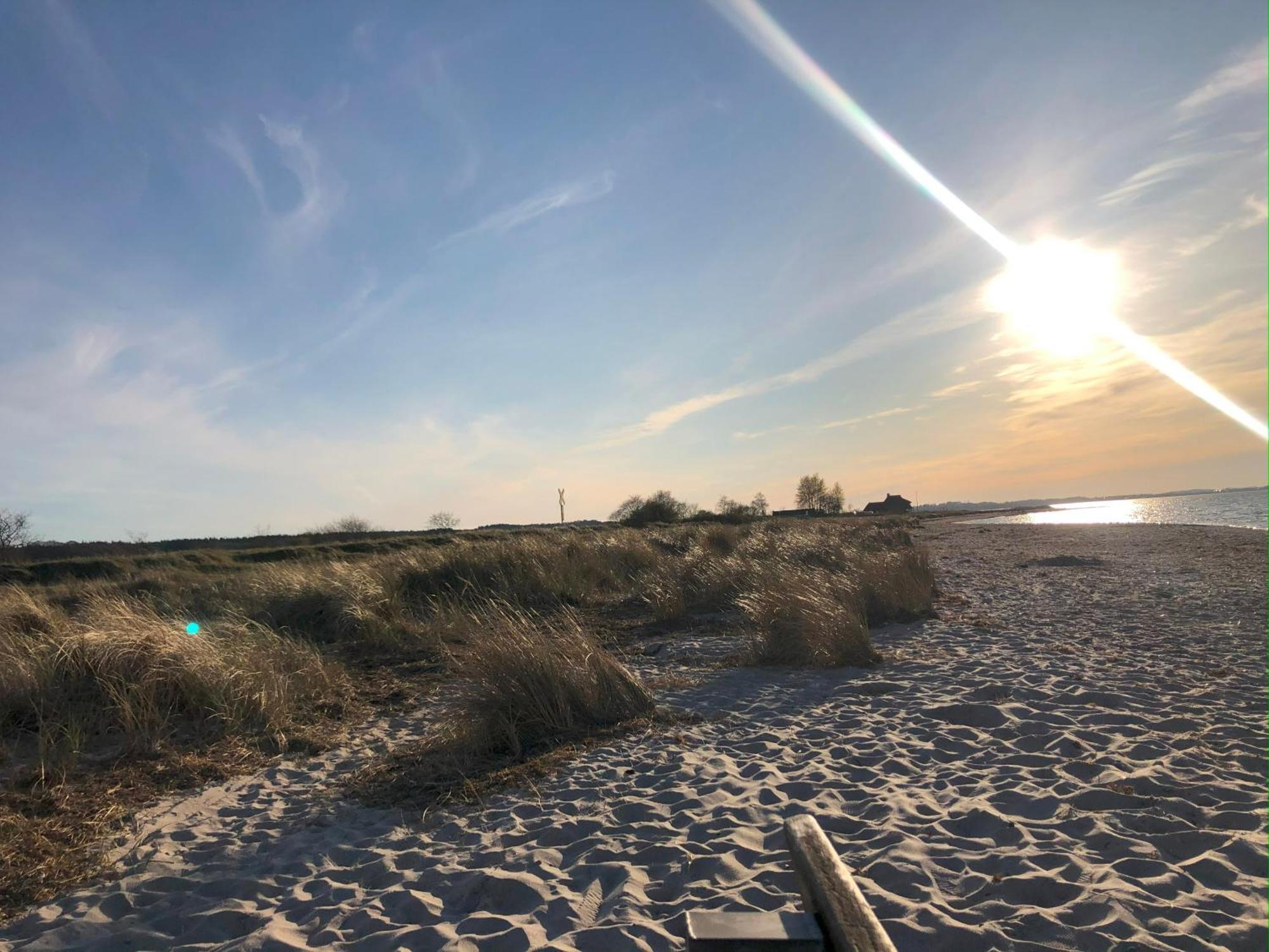 Neue Ferienwohnung An Der Ostsee,Terrasse,Sauna Surendorf Екстериор снимка
